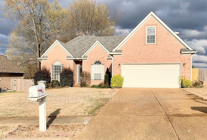6082 Shadow Oaks Cove S, Olive Branch, MS 38654 House Rental in Olive