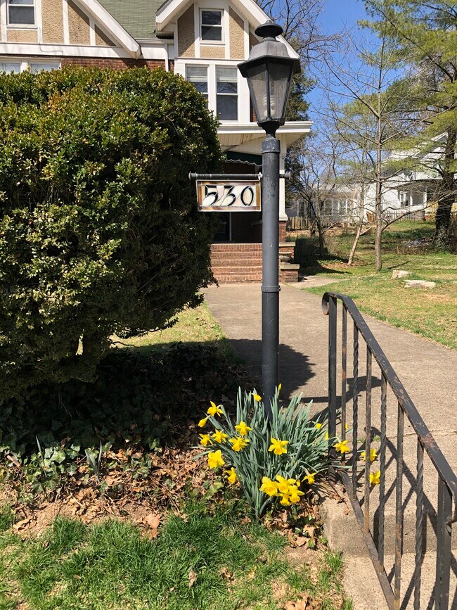 530 13th Avenue - 530 13th Ave
