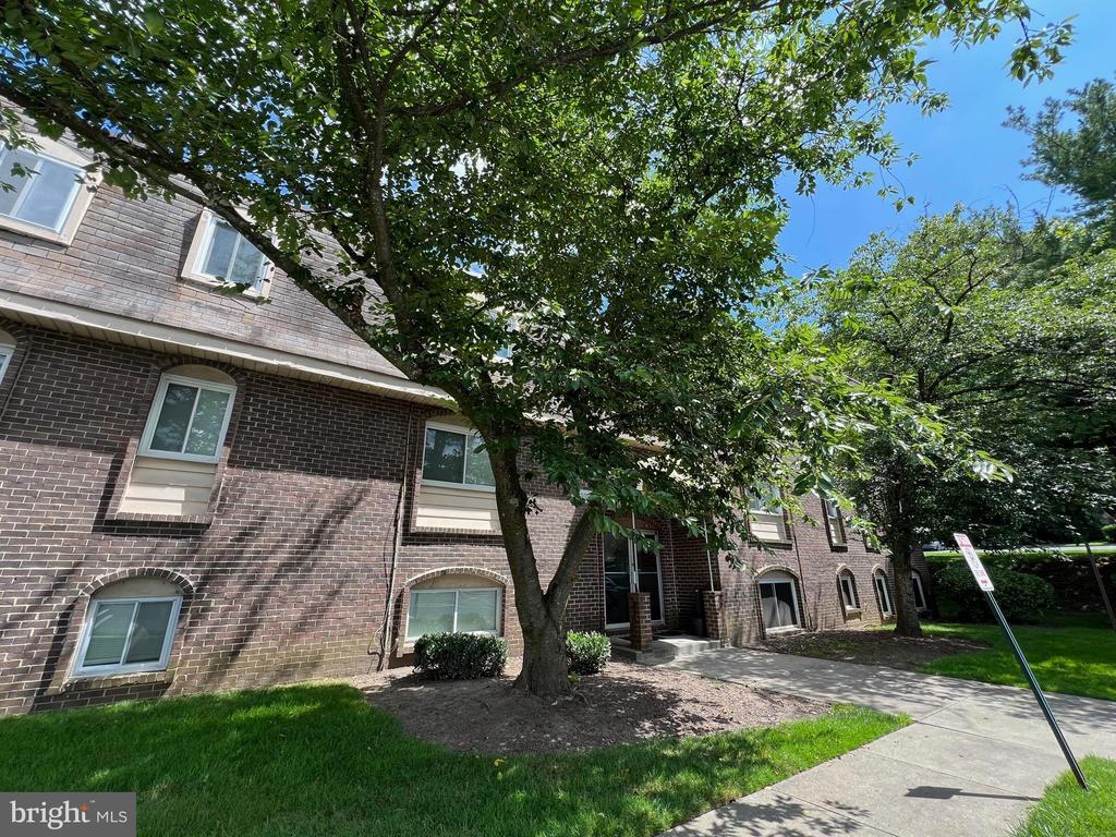 Primary Photo - 11901 Tarragon Rd