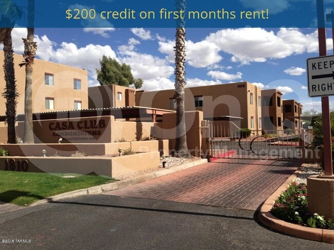 Photo - 1810 E Blacklidge Dr Apartment