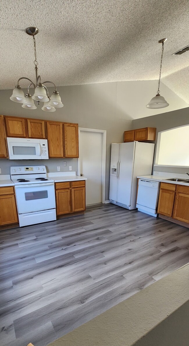 Building Photo - 1231 Apopka Ln