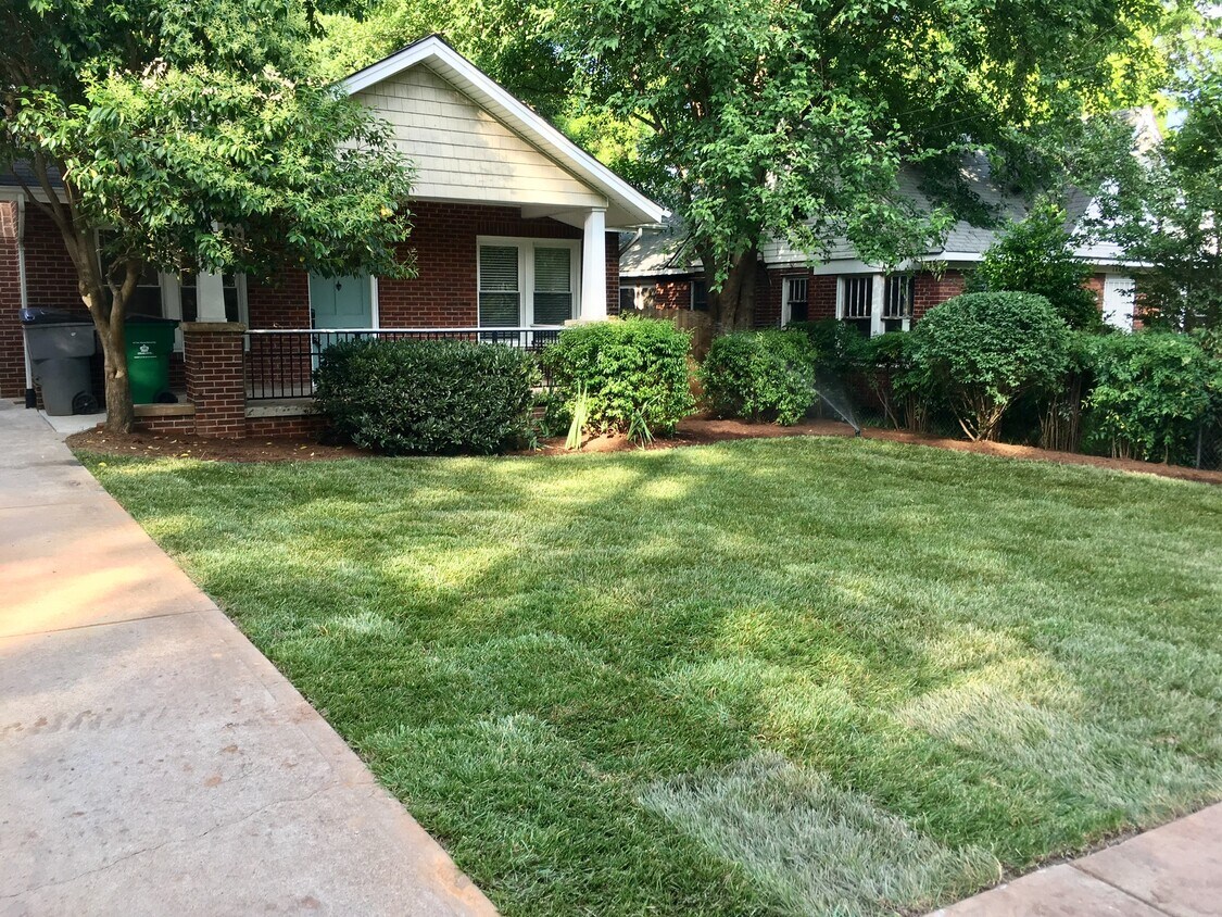 1413 Matheson Ave, Charlotte, NC 28205 Townhome Rentals in Charlotte