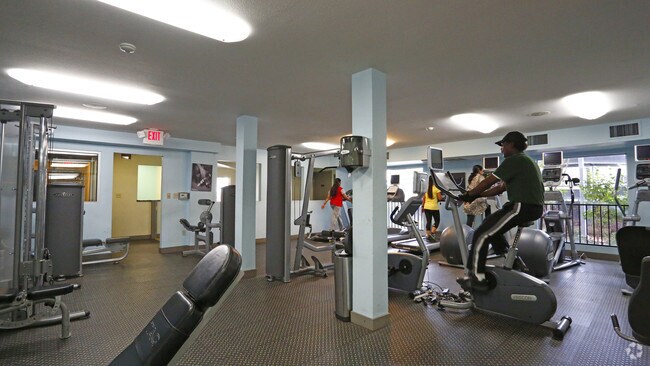 Foto del interior - Park Kiely