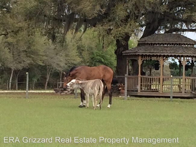 Building Photo - 11900 Rocking Horse Ln