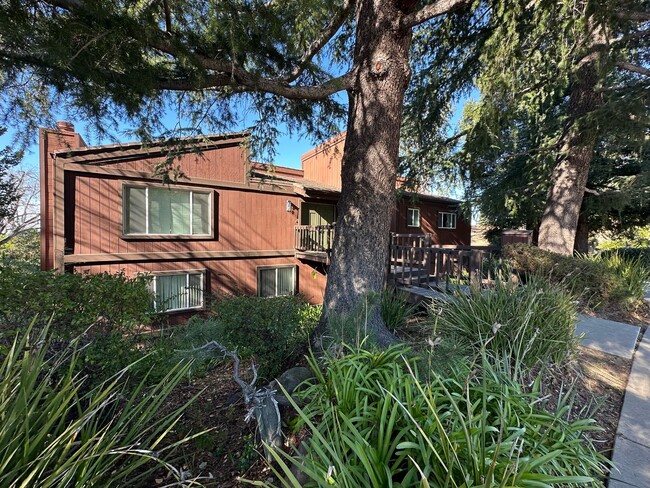 Foto del edificio - Come Home to This Wooded Retreat in Fremont!