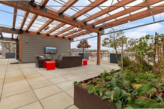 Building Photo - The Hayes on Stone Way