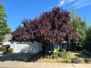 Building Photo - 1658 Albion Ct