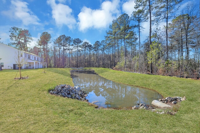 Backyard Pond - 8049 Reagan Way