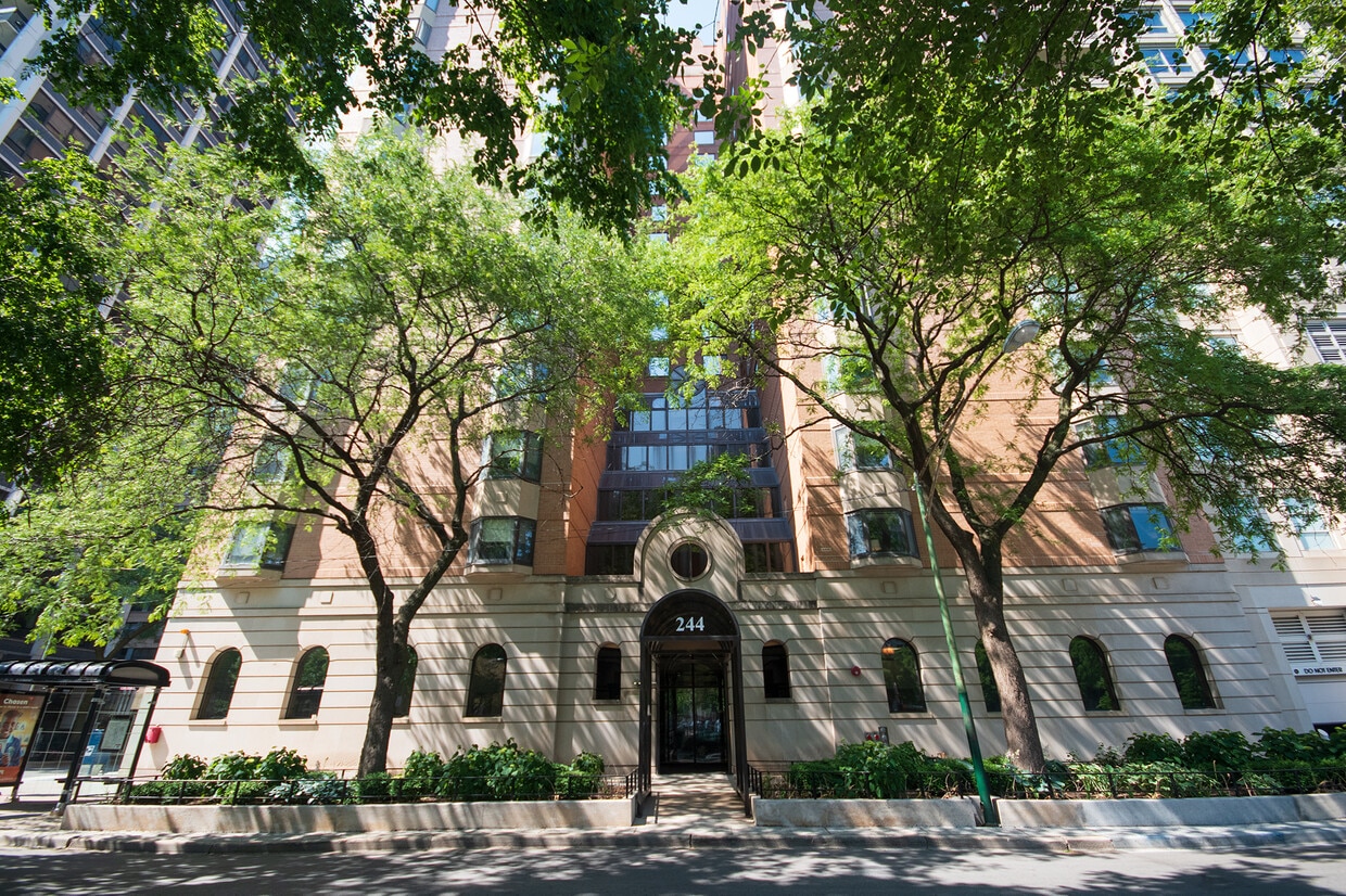 244 E. Pearson Apartments 244 Pearson St Chicago, IL