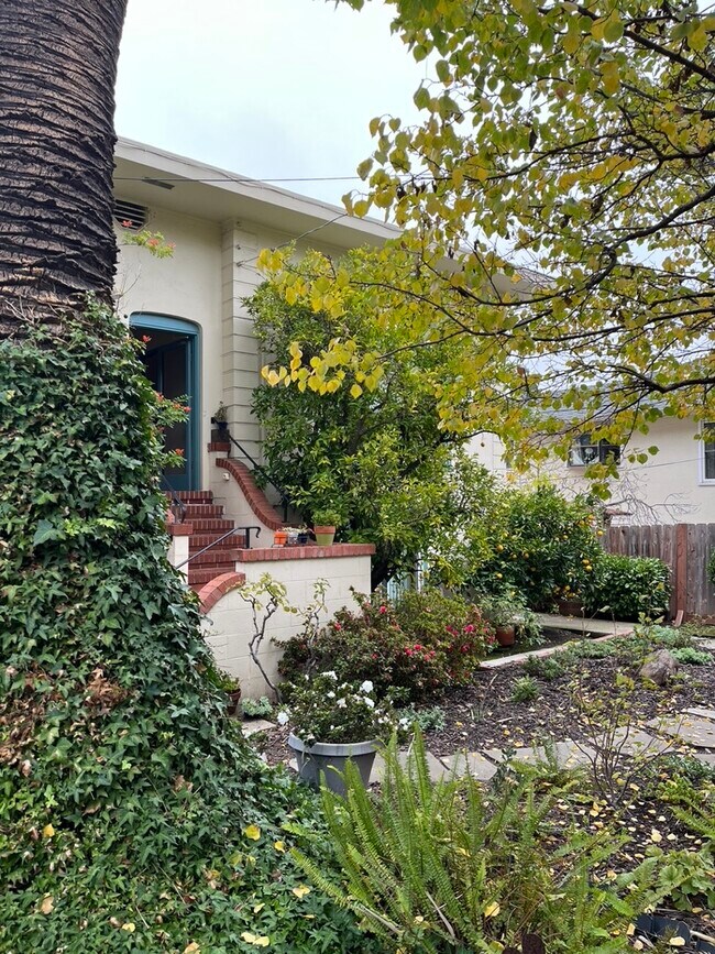 371 Cerrito Ave. Patio delantero. - 371 Cerrito Ave