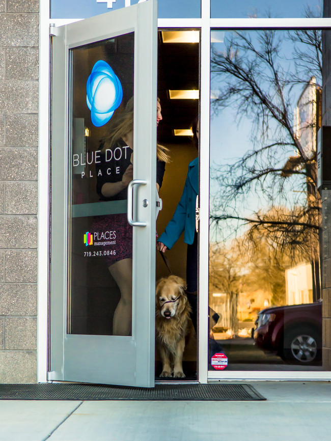 Blue Dot Place, A pet friendly residence - Blue Dot Place