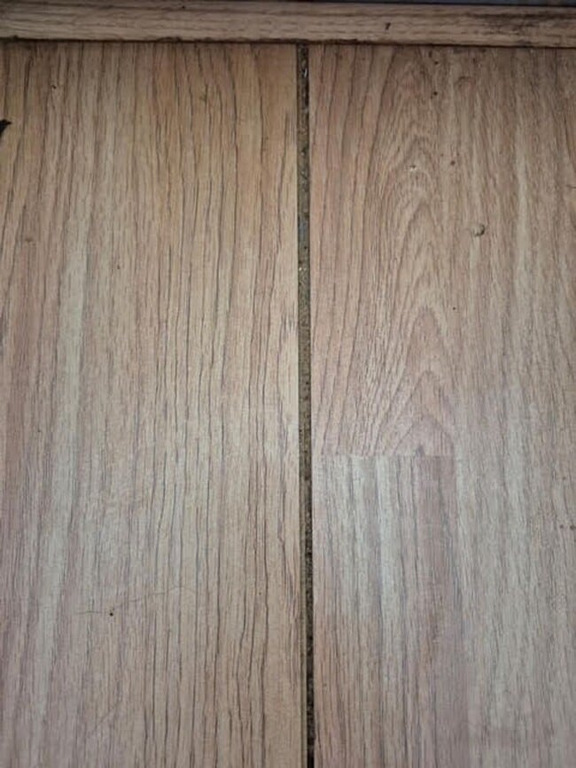 Building Photo - 933 Highland Trails Ave