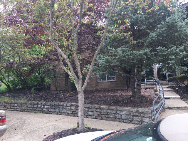 Fotografía del edificio - 3581 Amberacres Dr