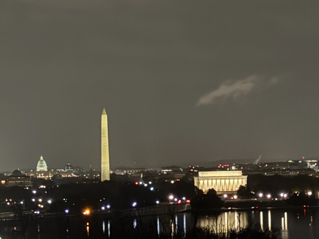 View from Family Roomn - 1011 Arlington Blvd