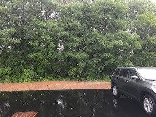 Building Photo - 64 Harrison Ave