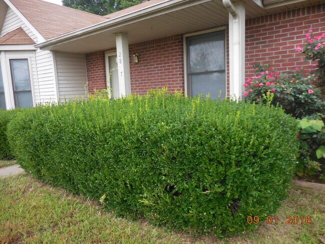 Foto del edificio - 3 Bedroom 2 Bath Home For Rent in Sango Area!