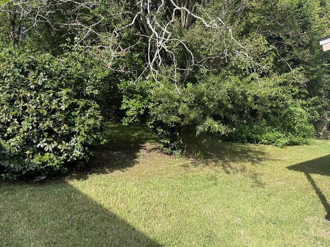 Photo - 670 Preston St House