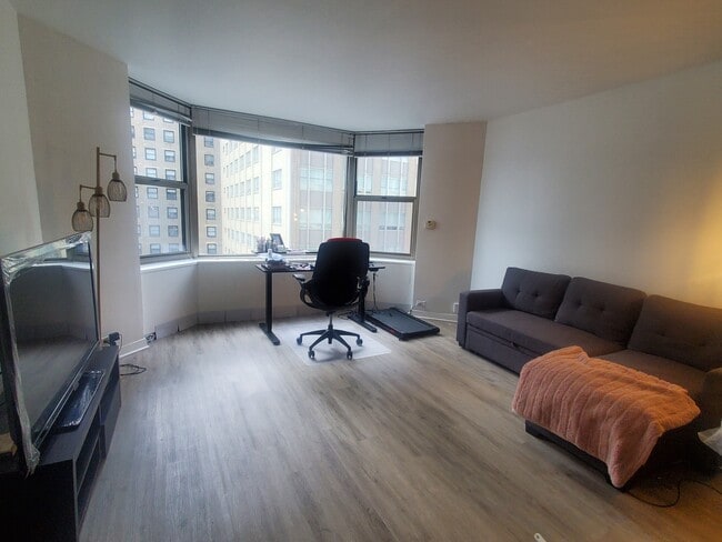 Living Room - 535 N Michigan Ave