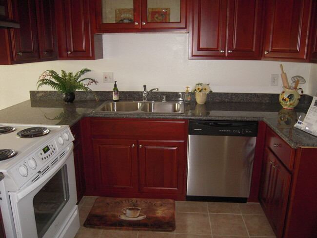 Kitchen - 231 College View Dr