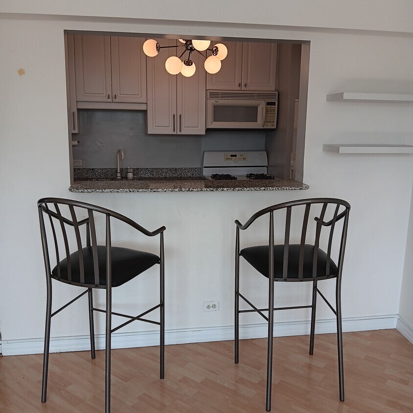Foto principal - 1150 N Lake Shore Dr