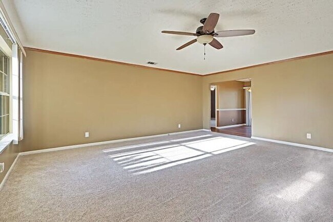 Foto del edificio - 12 Brown Thrasher Ct