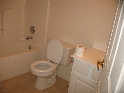 2nd Bath - 603 Mattern Orchard Dr