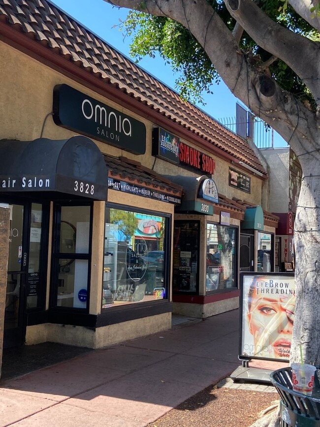 Building Photo - 3832 Fifth Ave