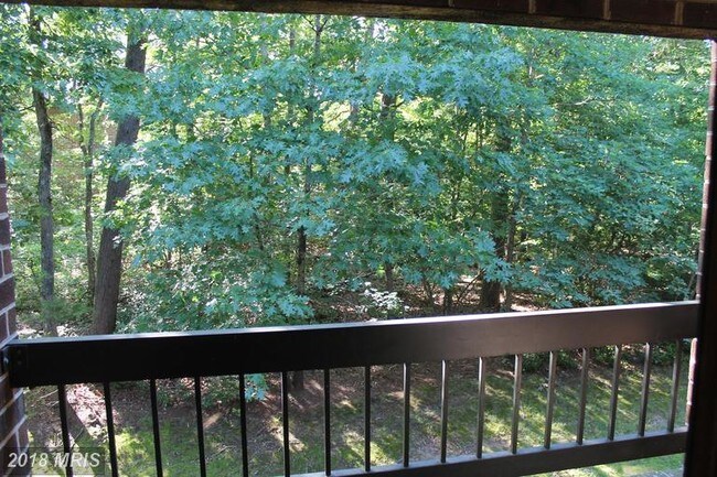 Building Photo - 23242 Chestnut Oak Ct