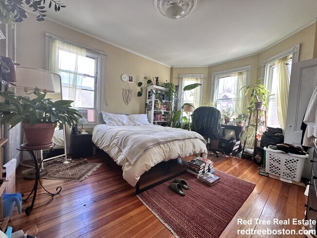 Building Photo - 4 Montcalm Ave
