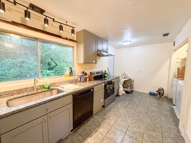 Foto del edificio - Large 9 Bedroom House In Walking Distance to Sorority Row