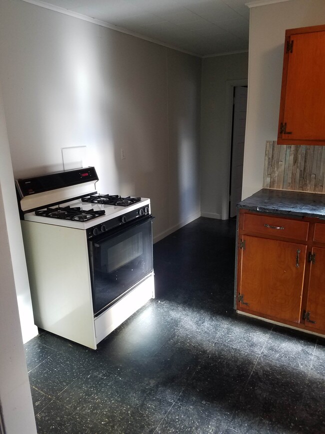 Foto del edificio - 205 E 3rd Ave
