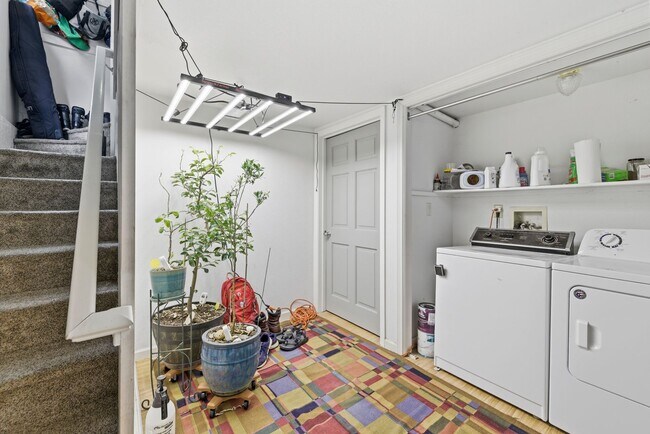 Foto del edificio - Cozy 1-Bed 1-Bath Basement Apartment blocks from CSU!