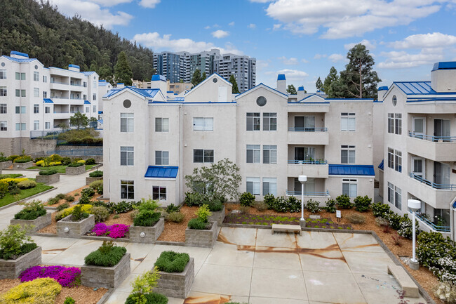 Courtyard - Bayside Commons