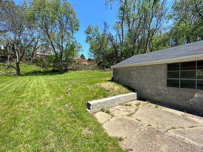 back yard - 258 Cedar St
