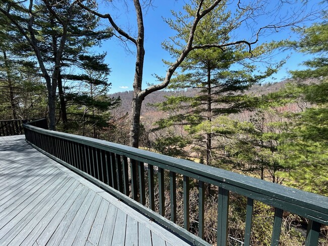Building Photo - Central AVL - Large Custom Built Home with...