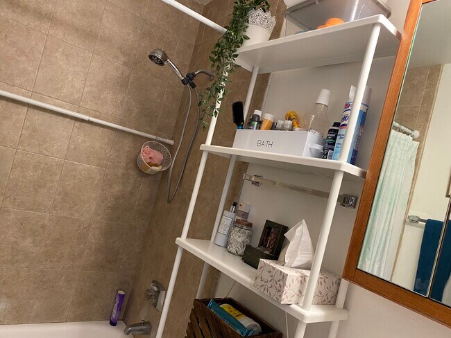Baño - 187 Pickwick Dr