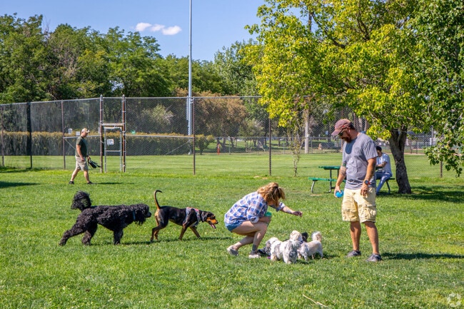Meet other fellow dog lovers and make friends at City Bark Dog Park in Pueblo.