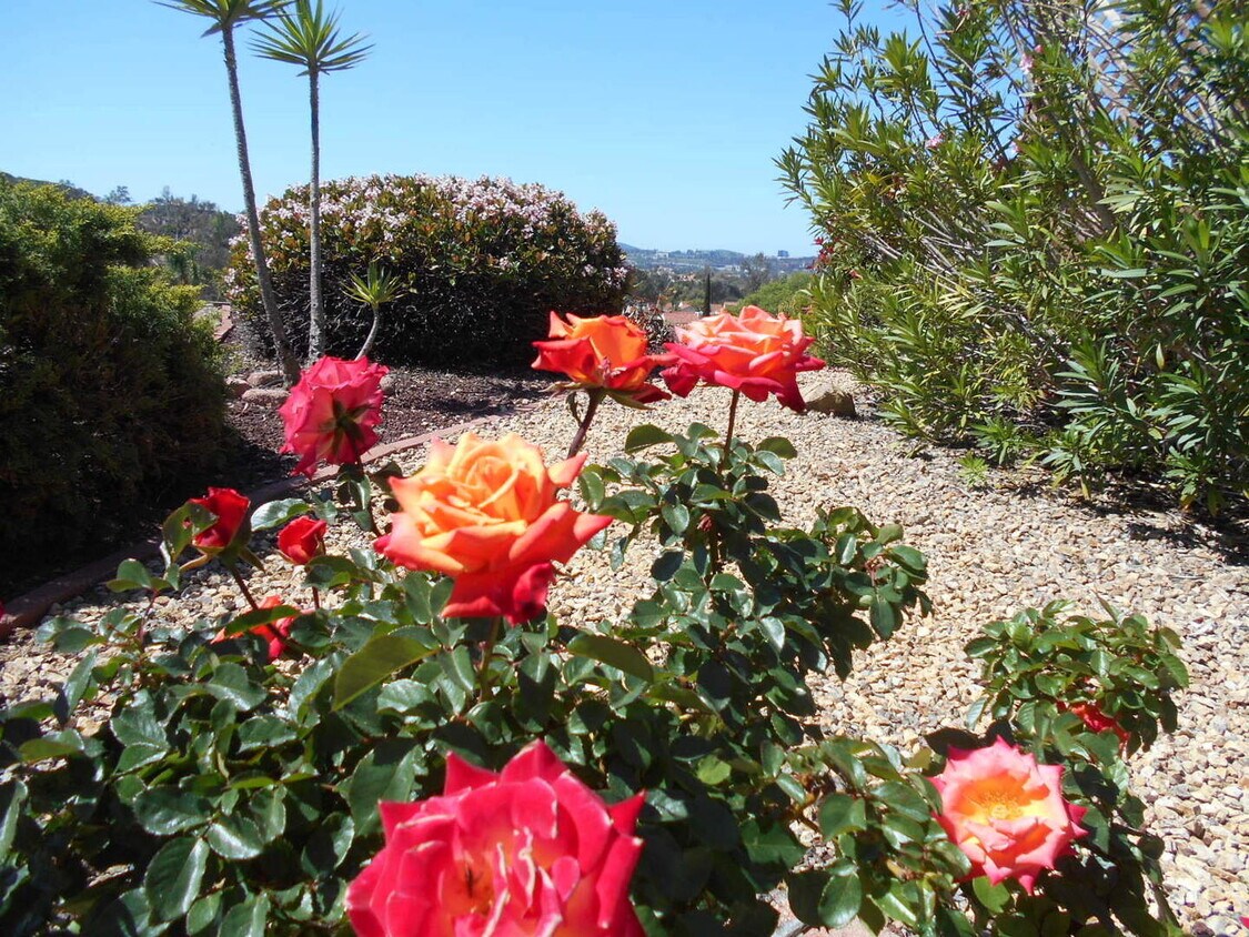 Foto principal - Amazing Oaks North Home with a View!