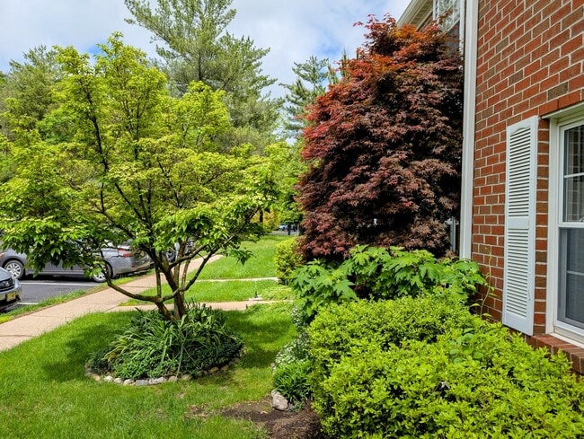 Building Photo - 23 Viburnum Ct