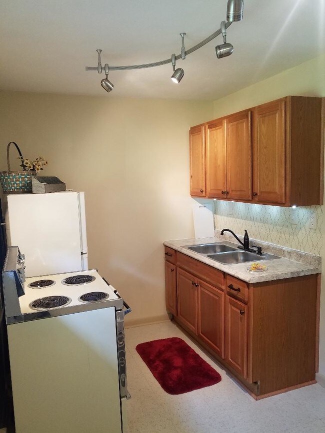 Remodeled Kitchen - 81 W North St