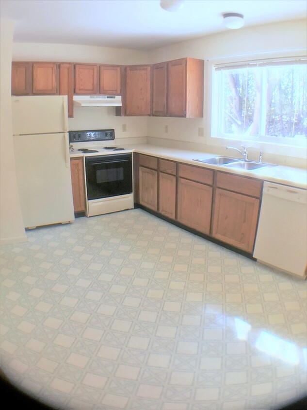 Primary Photo - Executive Drive Apartments