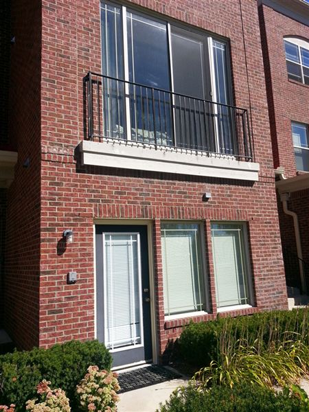 Building Photo - 7819 24 Mile Rd