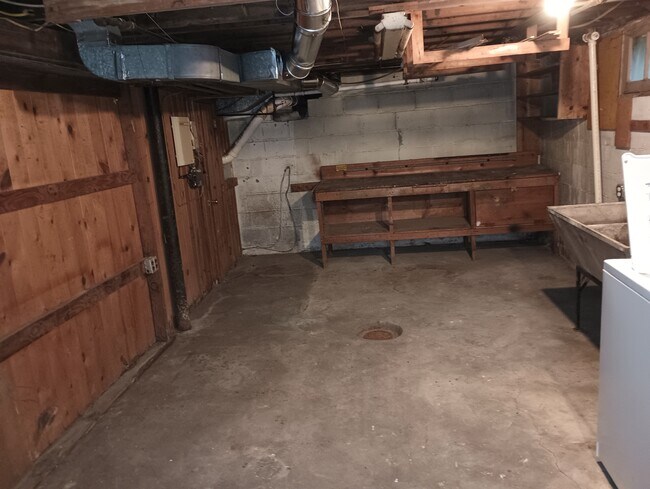 Basement storage - 1002 S Michigan Ave
