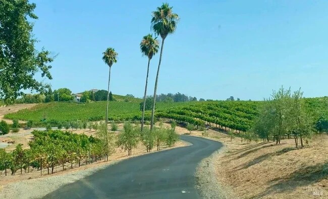 camino panorámico hacia el viñedo - 150 Old Vine Ln