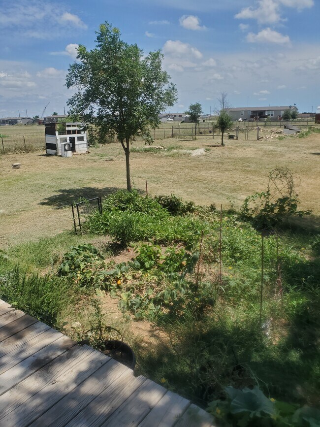 Foto del edificio - 1118 Meadowlark Dr