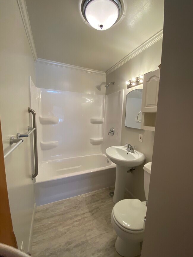 Newly remodeled full bathroom - 313 W Barrington Rd