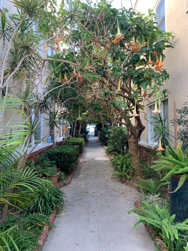 community - 1616 E Ocean Blvd