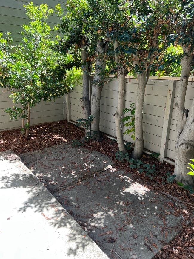 Outdoor space - 406 Clearview Dr