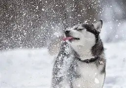 Foto del edificio - Northlake Lofts