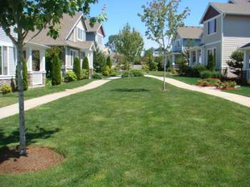 Foto del edificio - Crosswater neighborhood 4bd 2.5 bath